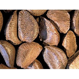 Fresh Raw In-shell Whole Brazil Nuts (3)