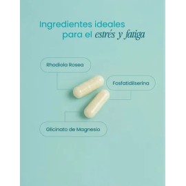 Rhodiola 60 Capsulas De 550mg Estrés Y Relajacion Na