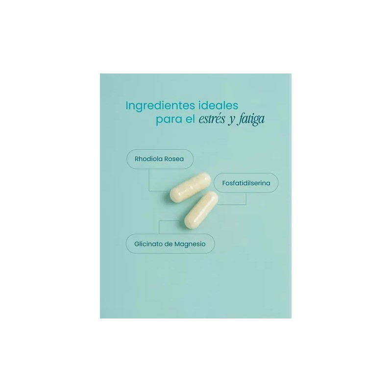 Rhodiola 60 Capsulas De 550mg Estrés Y Relajacion Na