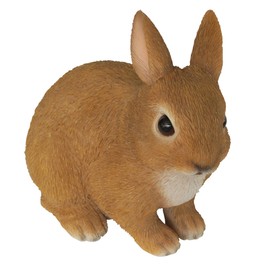 Young Rabbit Sitting Real Life Ornament by Vivid Arts