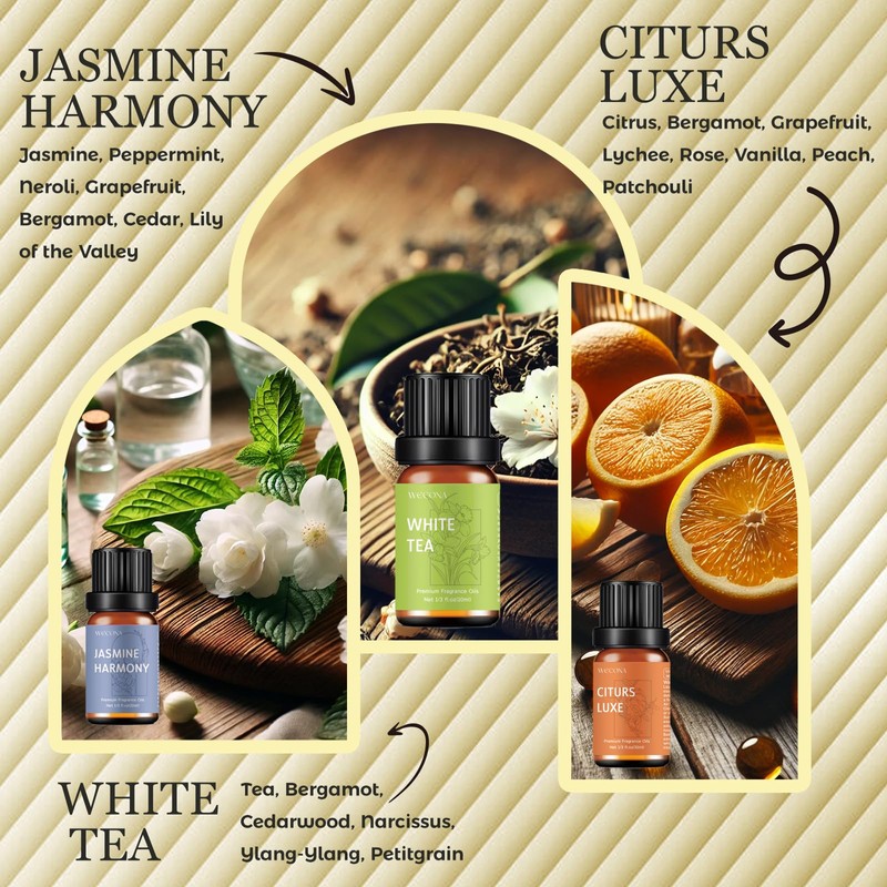Premium Hotel Fragrance Oil Collection for Diffusers, Essential Oils for