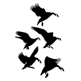 Landing in The Spread Goose Trailer Wall Decal Goose Decal Paint 2027 T-30″ by Waterfowldecals (Black)