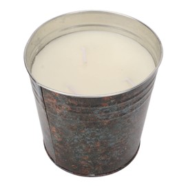 Eimerkerze, Citronella-Geschmack, 3 Dochte, 100–110 Stunden, für Mahlzeiten Im Innenhof, Picknick, Camping, Familientreffen mit Sukkulenten