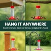 Perky-Pet 209B-1SR Glass Hummingbird Feeders for Outdoors Hanging - 30