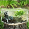 AWXZOM Magnetic Acrylic Case, micro habitat small Tarantula Enclosure enclosure