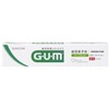 Gum Dental Paste, 1.2 oz (35 g) x 2 Sets