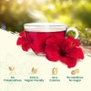 NaturalEvity Hibiscus Tea - Flor De Jamaica Natural - Premium
