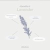 American Biotech Labs Silver Biotics Advanced Healing Skin Cream Lavender