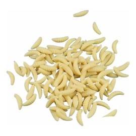 50 Pc Señuelo Gusano Sin Anzuelo Efectivo 2cm