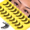 Losha Lashes Wispy Cat Eye Lashes 3D Natural False Eyelashes