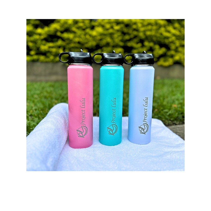 Project Lulu Insulated Stainless Steel Water Bottle Handle Flip Top
