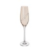 Glitz Celebration Gold Flutes, Set of 2