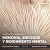 Nootrópicos Memoria Concentración Protección Neuronal