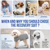 Lukovee Recovery Suit for Dogs, Onesie Surgery Recovery Suit for