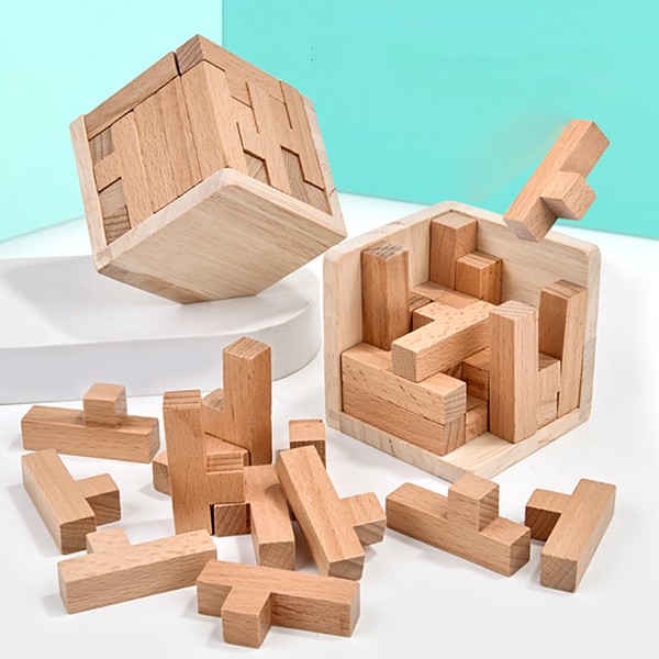 Wooden Brain Teaser Puzzle Skills Builder Shape Pieces Educational Toy