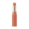 ettusais Lip Edition (Tint Rouge) 04 Lipstick 2g Amber Beige
