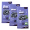 Rizzle On Blueberry Concentrated Liquid Organic 42 sachets in total / 리즐온 블루베리원액 유기농 총42포