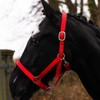 Pferdelinis Halter for warmblood, thoroughbred, cold-blood, pony - stable halter,