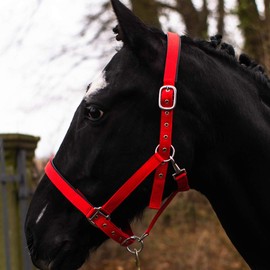 Pferdelinis Halter for warmblood, thoroughbred, cold-blood, pony - stable halter, grazing halter, 2-way adjustable pin buckles, safe and tear-resistant (red, thoroughbred (cob))
