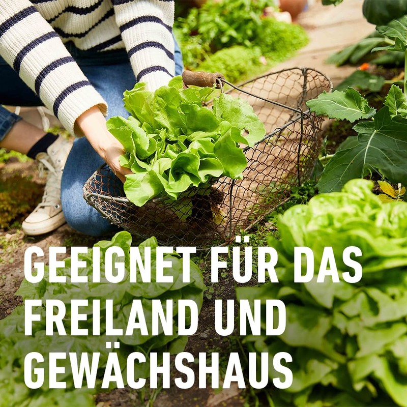 COMPO Snail Free – Snail Grain – Rainproof – Spreading