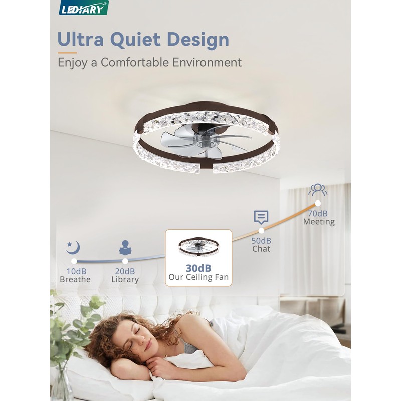 LEDIARY 20 Inch Low Profile Ceiling Fans with Lights and