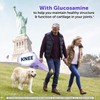 Schiff Glucosamine 2000mg with Vitamin D3 and Hyaluronic Acid, 150