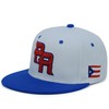 Fitted PR Front Puerto Rico Flag Side El Morro Back