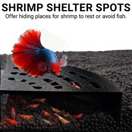 HERPDEN Shrimp Cave 2-Pack – Space-Saving Fan-Shaped Aquarium Cave Decor with 180° Wide-View Design, Compact Fish Tank Accessories for Cherry/Dwarf Shrimp (Black)