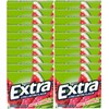 Extra Fruit Sensation Gum, Sweet Watermelon Flavor - 20 Packs of 15 Pieces. Total 300 Sticks