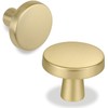 goldenwarm 10 Pack Gold Door Knobs Gold Drawer Knobs Brass