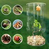Jumping Spider Enclosure, Acrylic Reptile Terrarium with Magnet Door, Insect