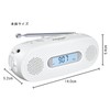 Panasonic FM-AM 2-Band Receiver, White, RF-TJ20-W
