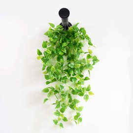 WJUAN Pack of 4 Black Round Towel Hooks, 73 mm Stainless Steel Wall Hooks, Suitable for Installation in Kitchen, Bathroom, Study and Master Bedroom to Hang Items