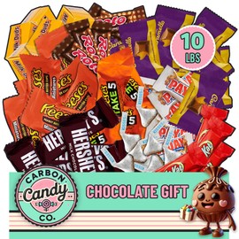 Chocolate Candy Variety Pack - 10 lb Assorted Bulk Chocolate Miniatures - Bulk Candy Individually Wrapped Candy Bars - Holiday Candy, Party Bag Candy Bulk - Dark & Milk Chocolate - Mini Chocolates