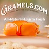 Caramels.com | Orange and Citrus Caramel Flavor | Soft Caramel