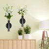 2 PCS Wall Vases for Flowers, Black Flower Vase Metal
