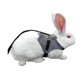 Rabbit Vest Harness and Leash Set Adjustable Formal Suit Style for Bunny Kitten Small Animal Walking (S)