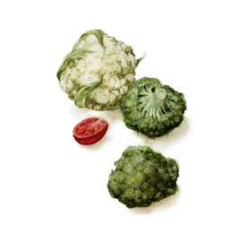 Cauliflower Broccoli Cabbage tomato Vegetable Print Watercolor Housewarming Decor Rustic Farmhouse Kitchen home decor, Giclee print still life botanical vegetable art 8.25 x 11.75 inches Unframed