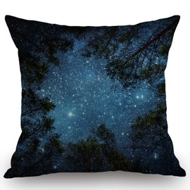 Swono Beautiful Night Sky Pillow Cover 18x18 Inch The Milky Way and The Trees Pillow case, Sublime Nature View Farmhouse Decorative Throw Pillow Cover for Sofa Couch Home Decoration