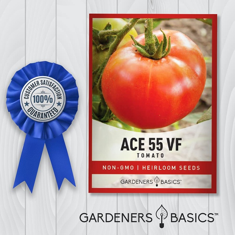 Gardeners Basics Ace 55 VF Tomato Seeds for Planting Heirloom