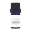 Eucalyptus Globulus, 0.3 fl oz (10 ml) e-aroma Essential Oil