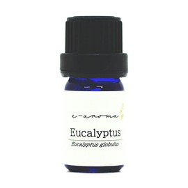 Eucalyptus Globulus, 0.3 fl oz (10 ml) e-aroma Essential Oil Essential Oil Aroma Oil (0.3 fl oz (10 ml)