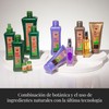 Salerm Biokera Intensive Specific Falling Hair Phials 6x10ml