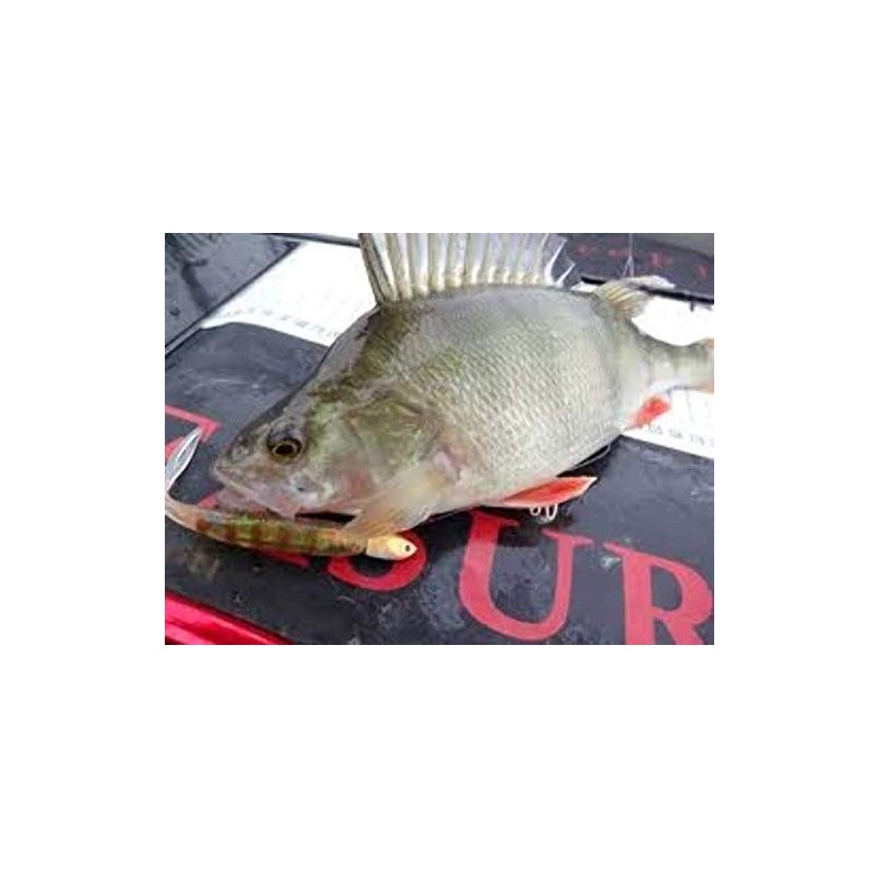 Berkley PowerBait Drop Shot Minnow Soft Bait Chartreuse 8cm Qty