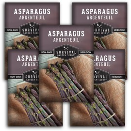 5 Packs Argenteuil Purple Asparagus Seeds for Planting with Instructions to Grow Gourmet French Asparagus in Your Home Vegetable Garden - Non-GMO Heirloom - Survival Garden Seeds