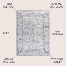 JONATHAN Y WSH321B-5 Brandy Rustic Border Low-Pile Machine-Washable Area Rug, Classic, Traditional, Glam for Bedroom, Kitchen, Living Room, Easy-Cleaning, Light Gray/Blue, 5 ft. x 8 ft.