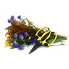 Micman Professional Grade Floral Scissors.