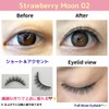 Full Moon Eyelash ~Natural Series ~ Natural Beautiful Natural False