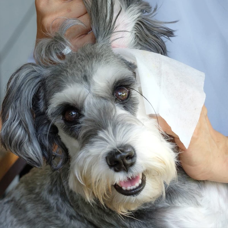 Record Wet sanitizing wipes for Dogs and Cats. Dog Wipes