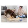 TRIXIE Memory Trainer Activity for Dogs, Level 3 Strategy Game,